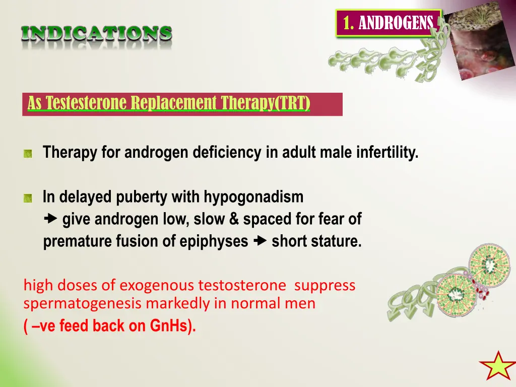 1 androgens 1