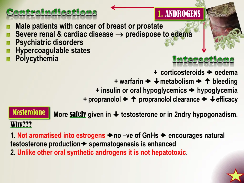 1 androgens 2