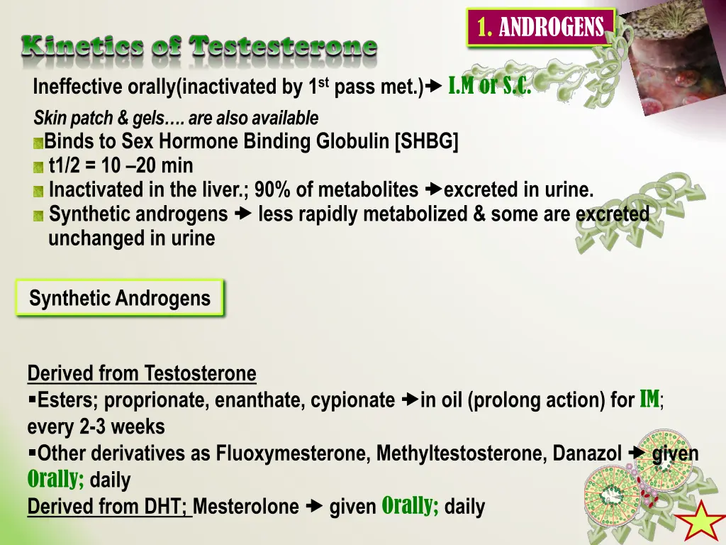 1 androgens