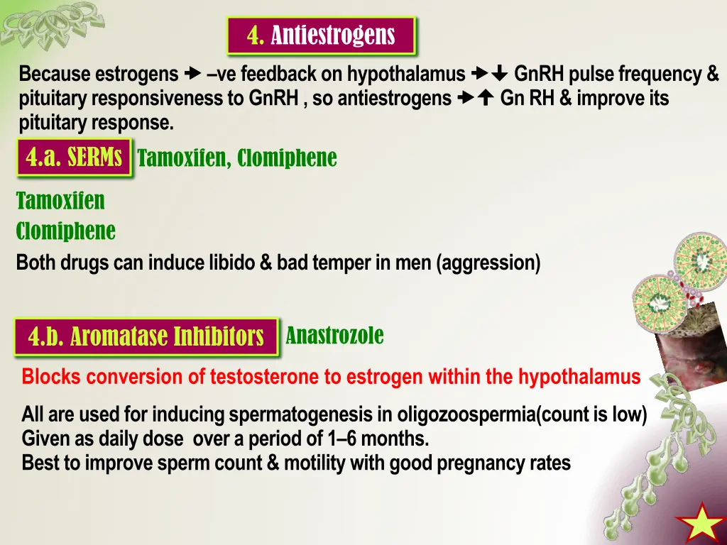 4 antiestrogens