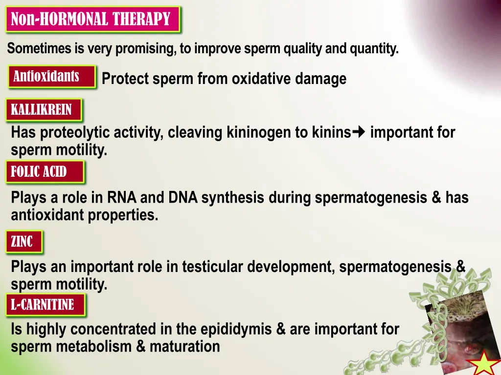non hormonal therapy