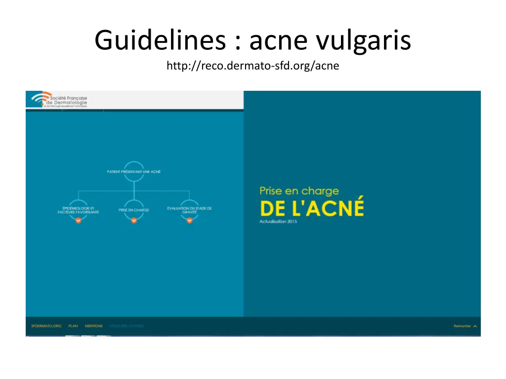 guidelines acne vulgaris http reco dermato