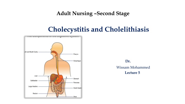 adult nursing second stage