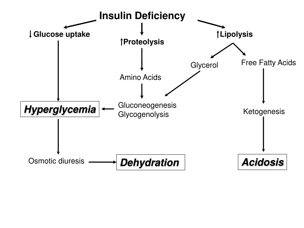 insulin deficiency
