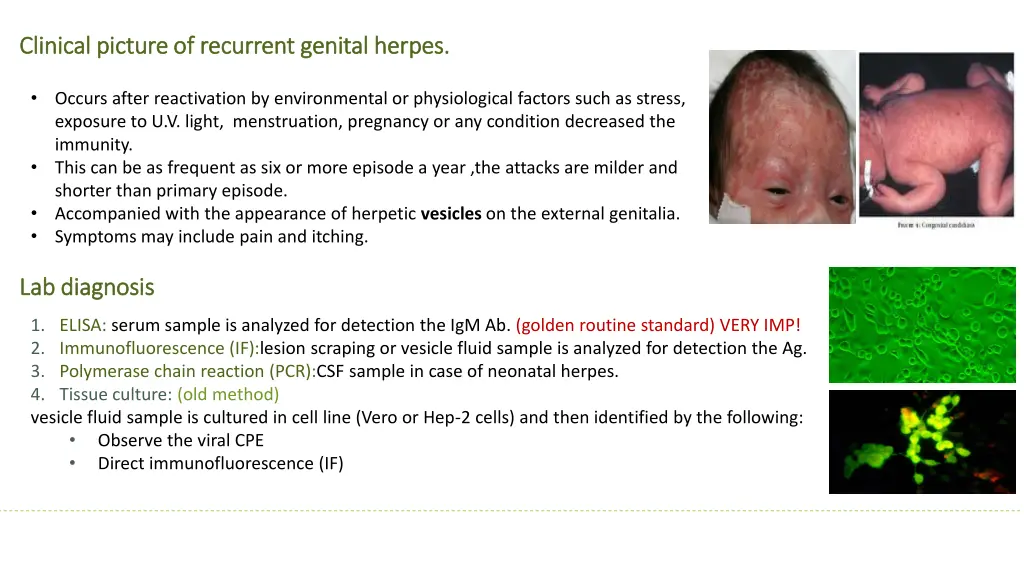 clinical picture of recurrent genital herpes