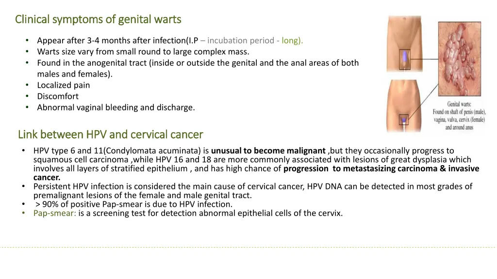 clinical symptoms of genital warts clinical