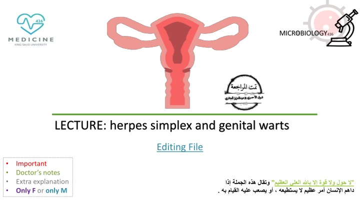 lecture herpes simplex and genital warts