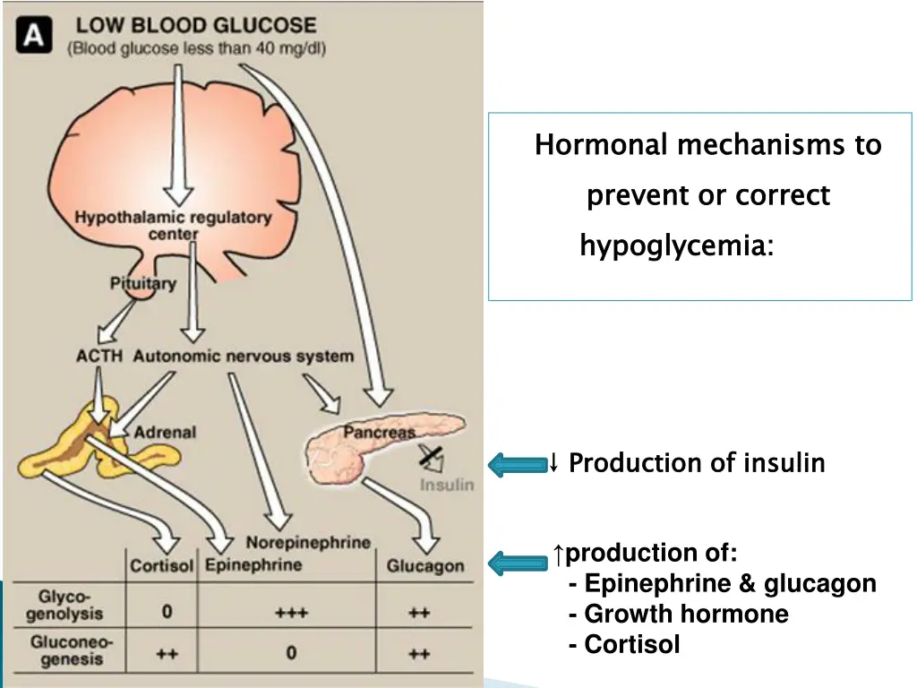 hormonal mechanisms to prevent or correct
