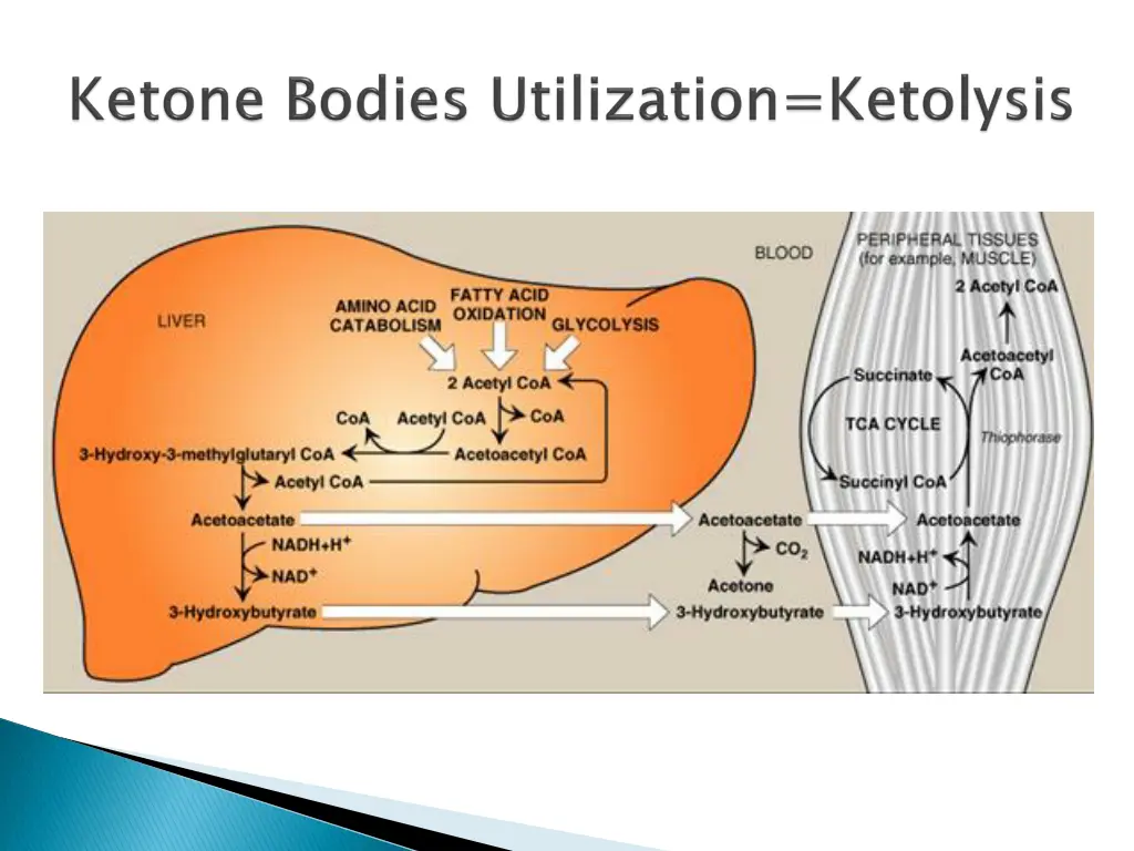 slide10
