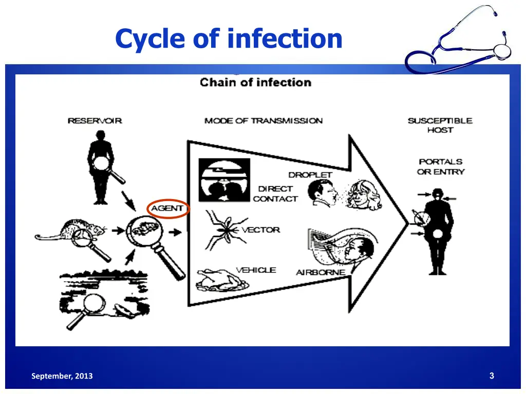 cycle of infection