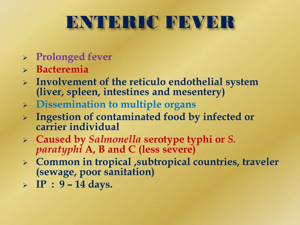 prolonged fever bacteremia involvement