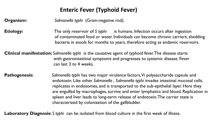enteric fever typhoid fever