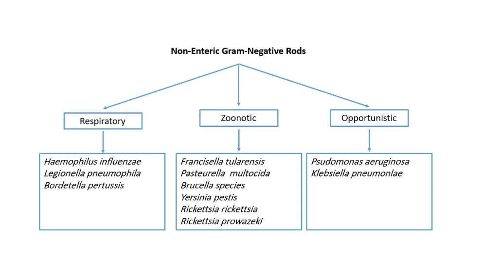 slide7