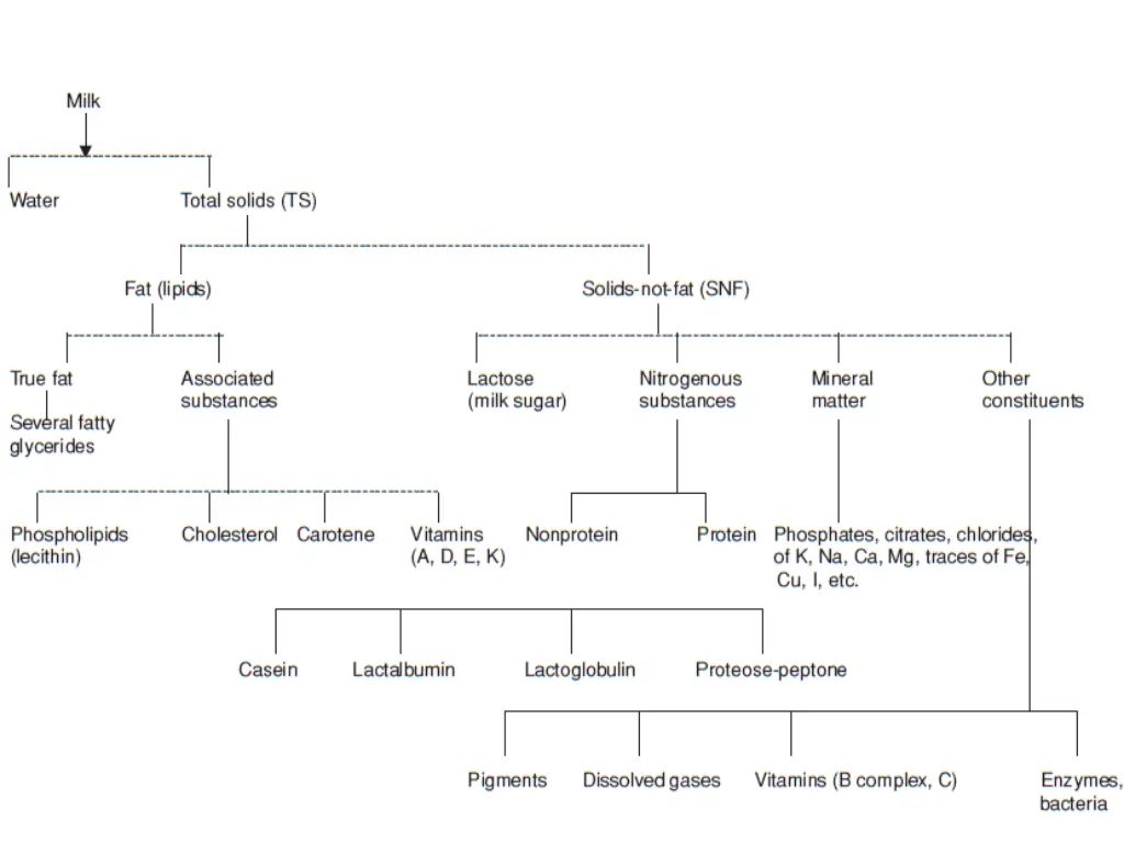 slide11