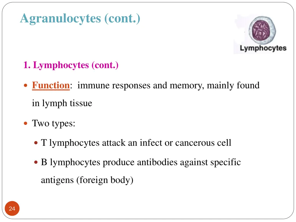 agranulocytes cont 1