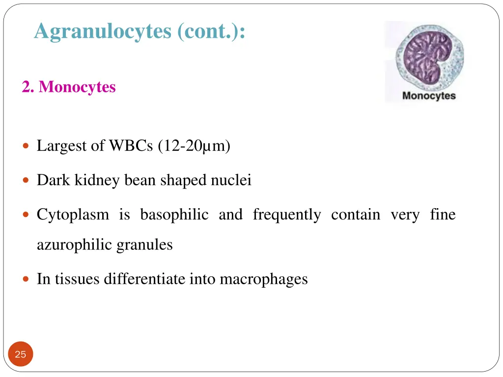 agranulocytes cont 2