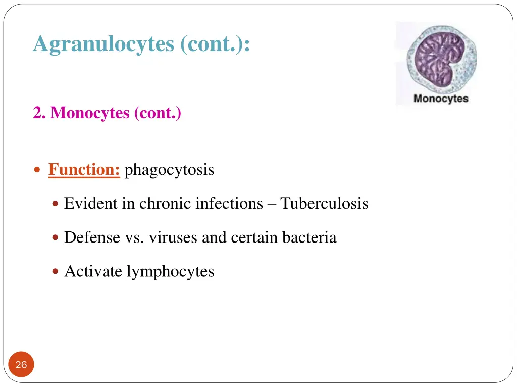 agranulocytes cont 3