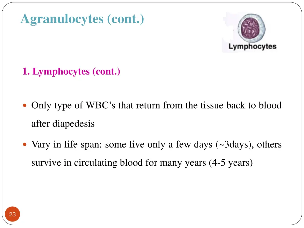 agranulocytes cont