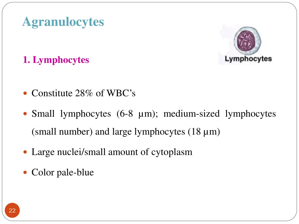 agranulocytes