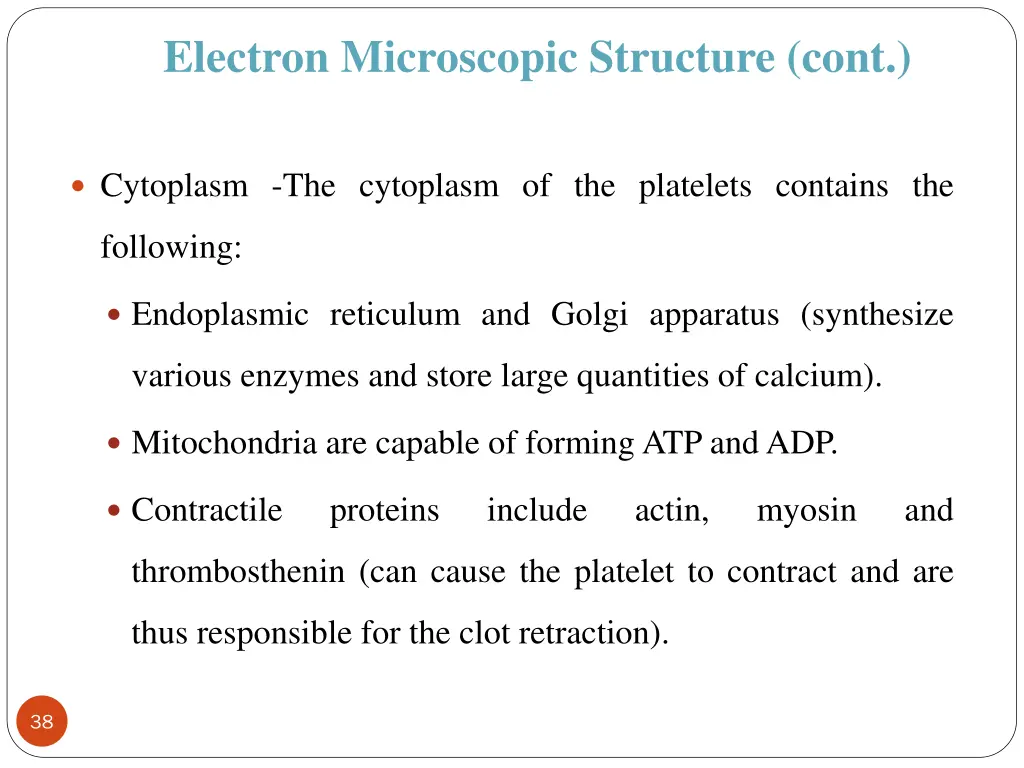 electron microscopic structure cont