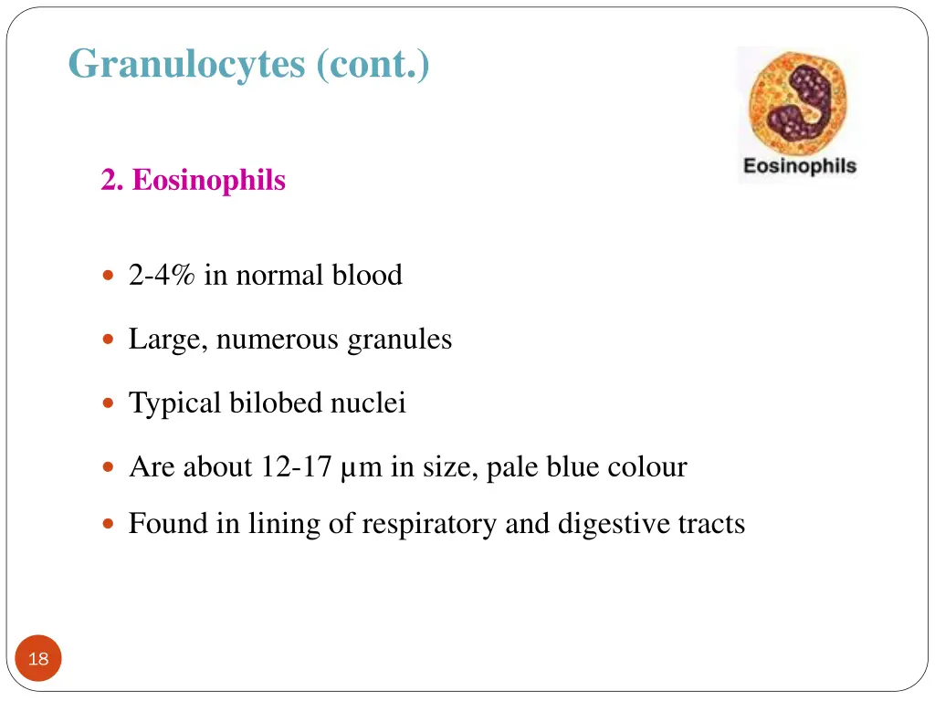 granulocytes cont 1