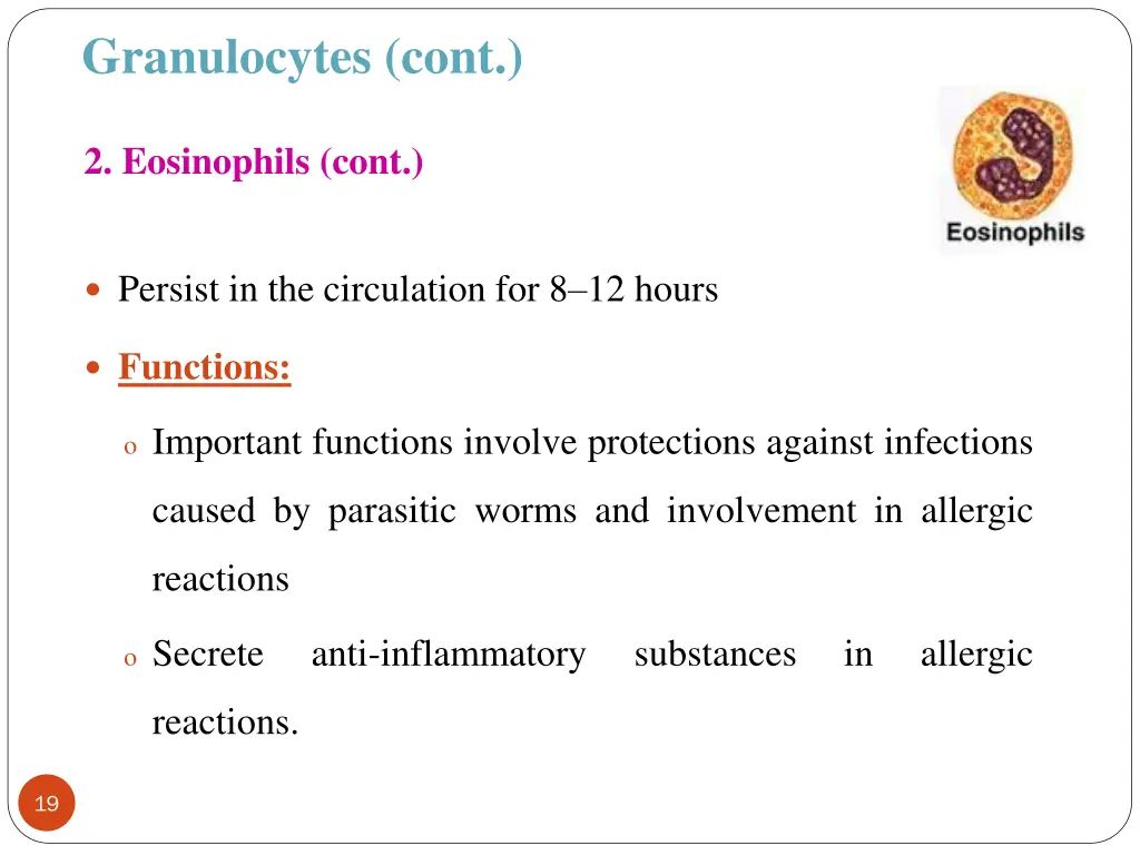 granulocytes cont 2