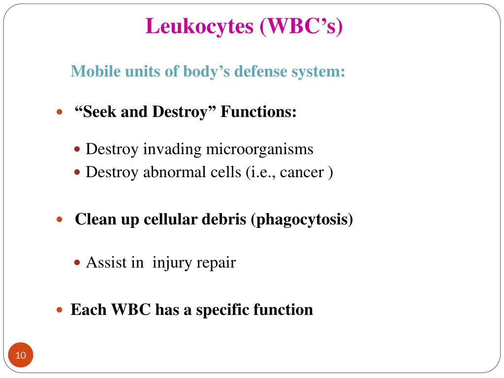 leukocytes wbc s 1