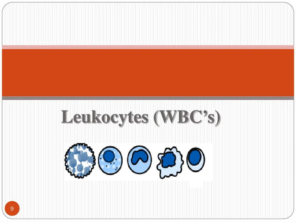 leukocytes wbc s