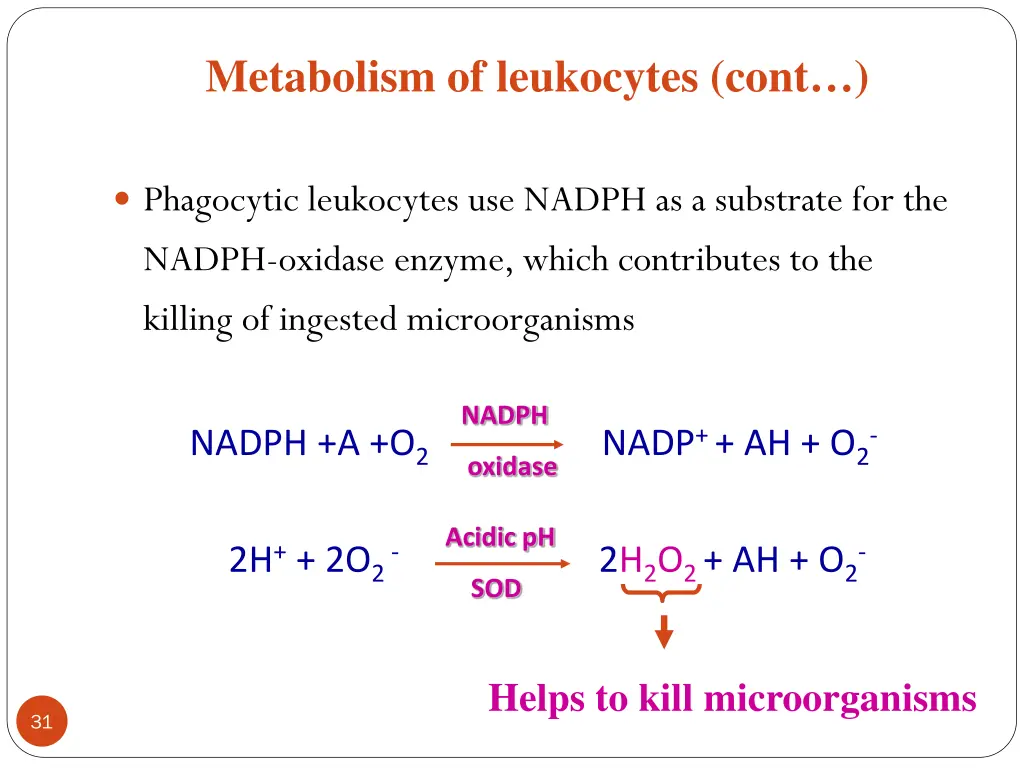 metabolism of leukocytes cont