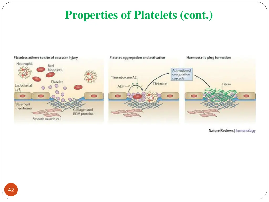 properties of platelets cont