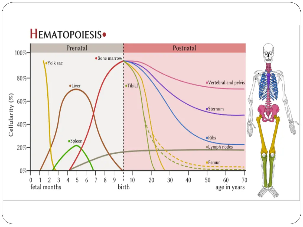 slide3