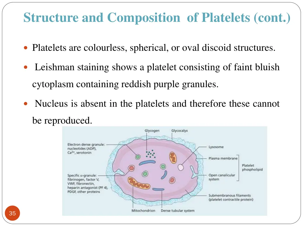 structure and composition of platelets cont
