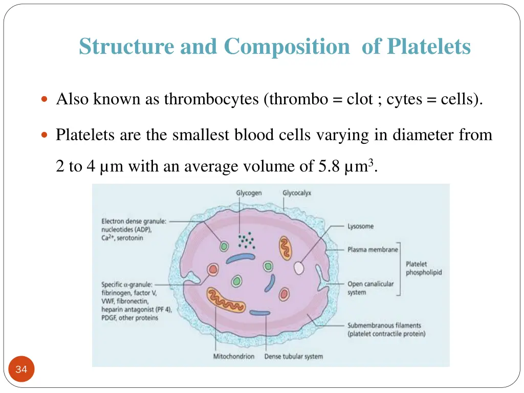 structure and composition of platelets