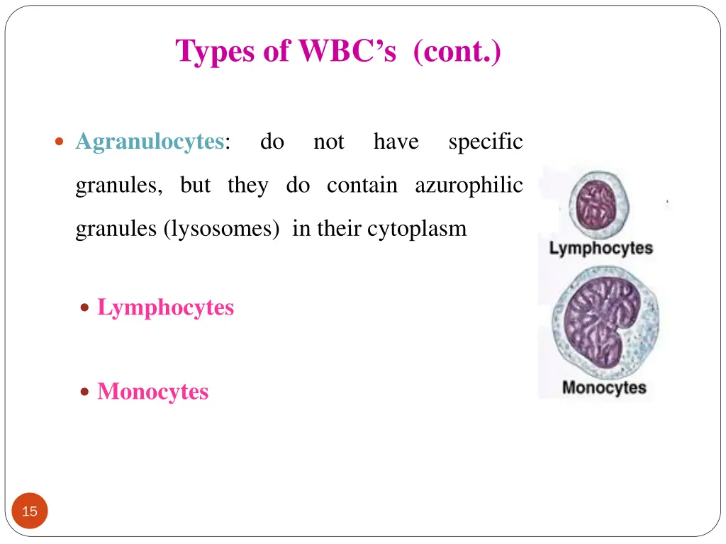 types of wbc s cont 1