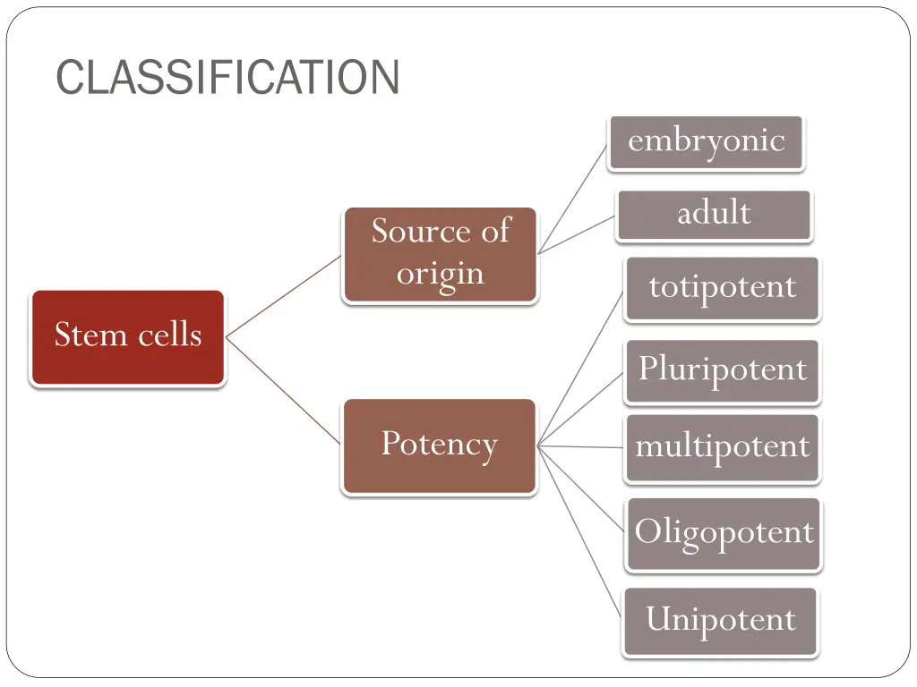 classification