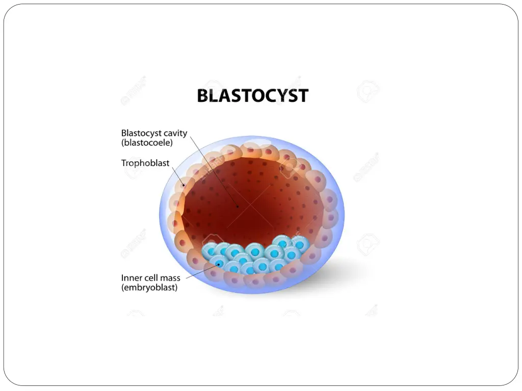 slide16