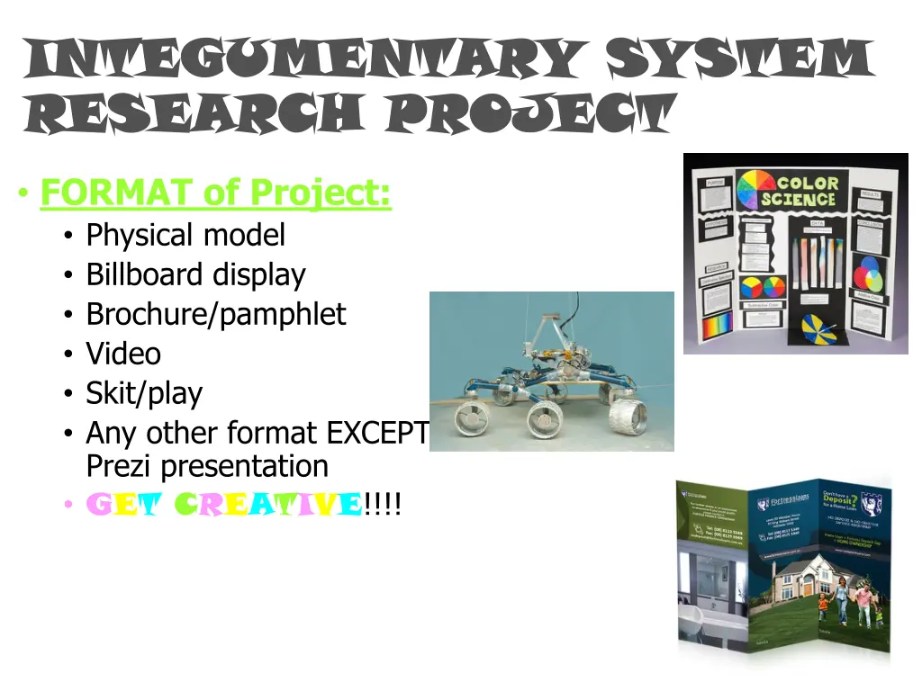 integumentary system integumentary system 2