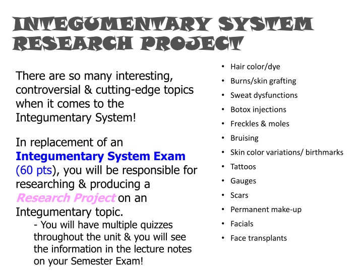 integumentary system integumentary system