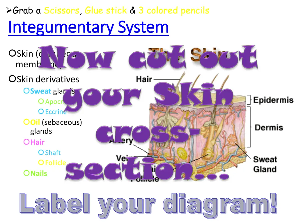 grab a scissors glue stick 3 colored pencils 1