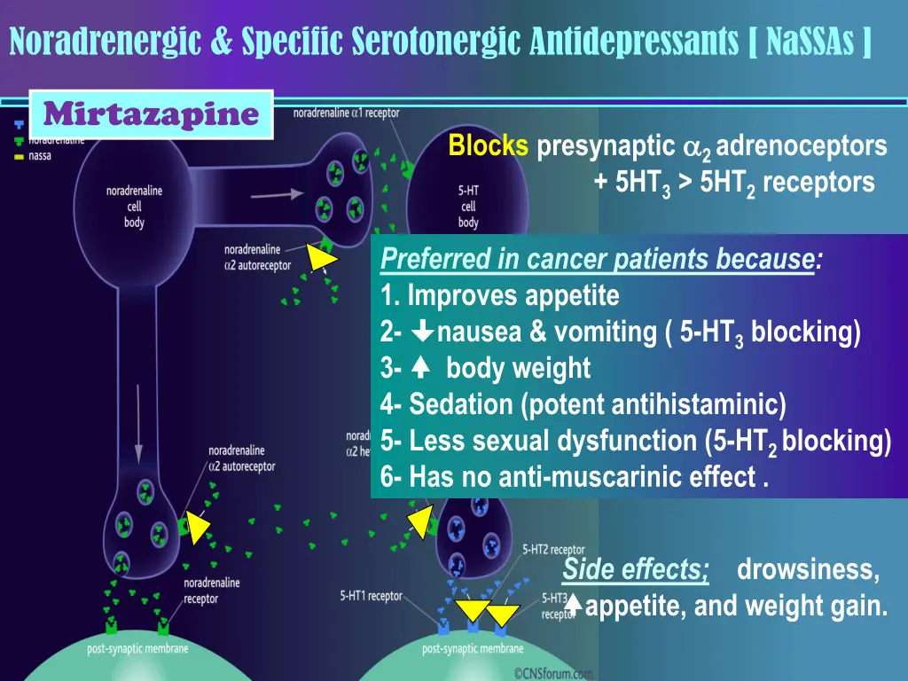 noradrenergic specific serotonergic