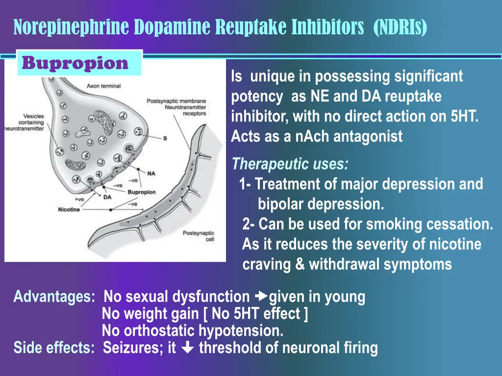 norepinephrine dopamine reuptake inhibitors ndris