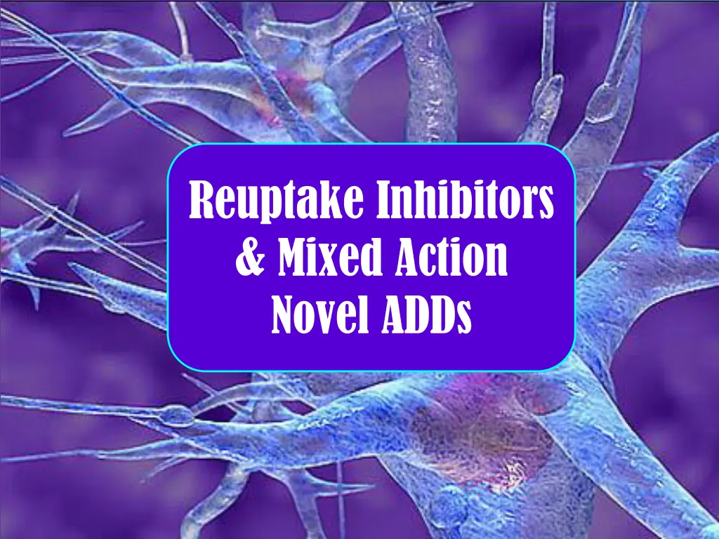 reuptake inhibitors mixed action novel adds