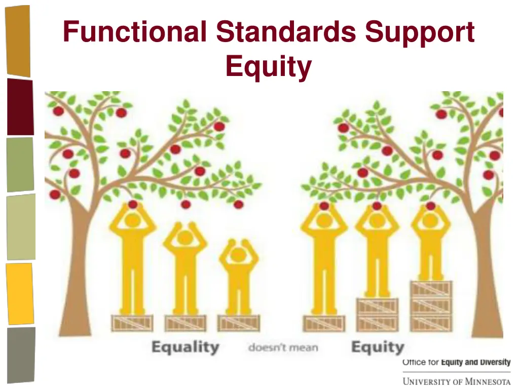 functional standards support equity
