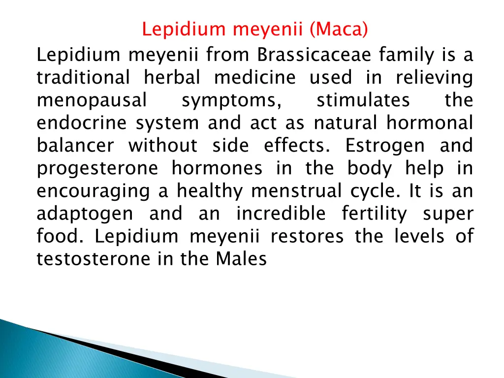 lepidium meyenii maca lepidium meyenii from