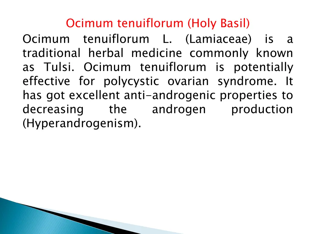 ocimum tenuiflorum holy basil ocimum traditional