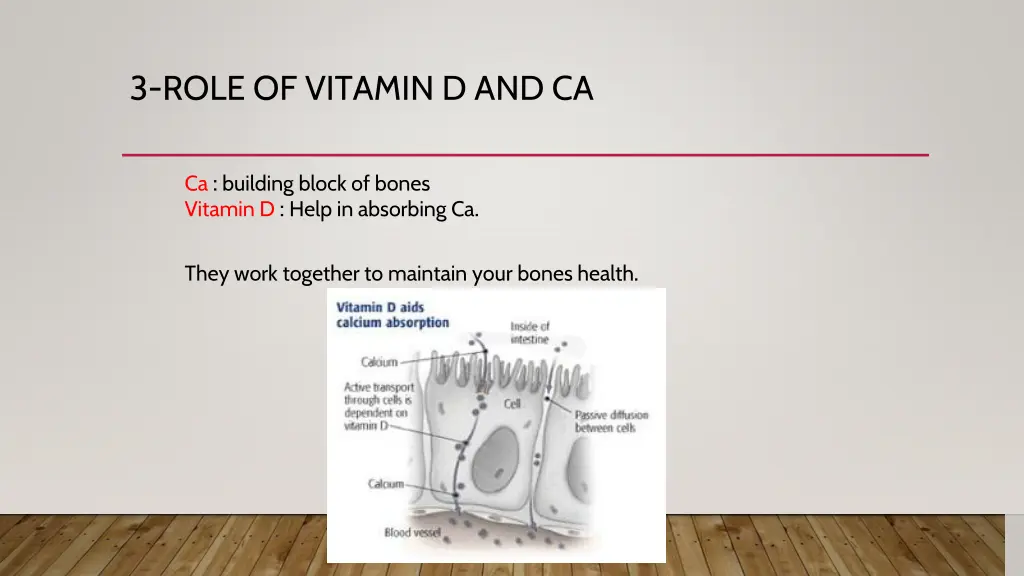 3 role of vitamin d and ca