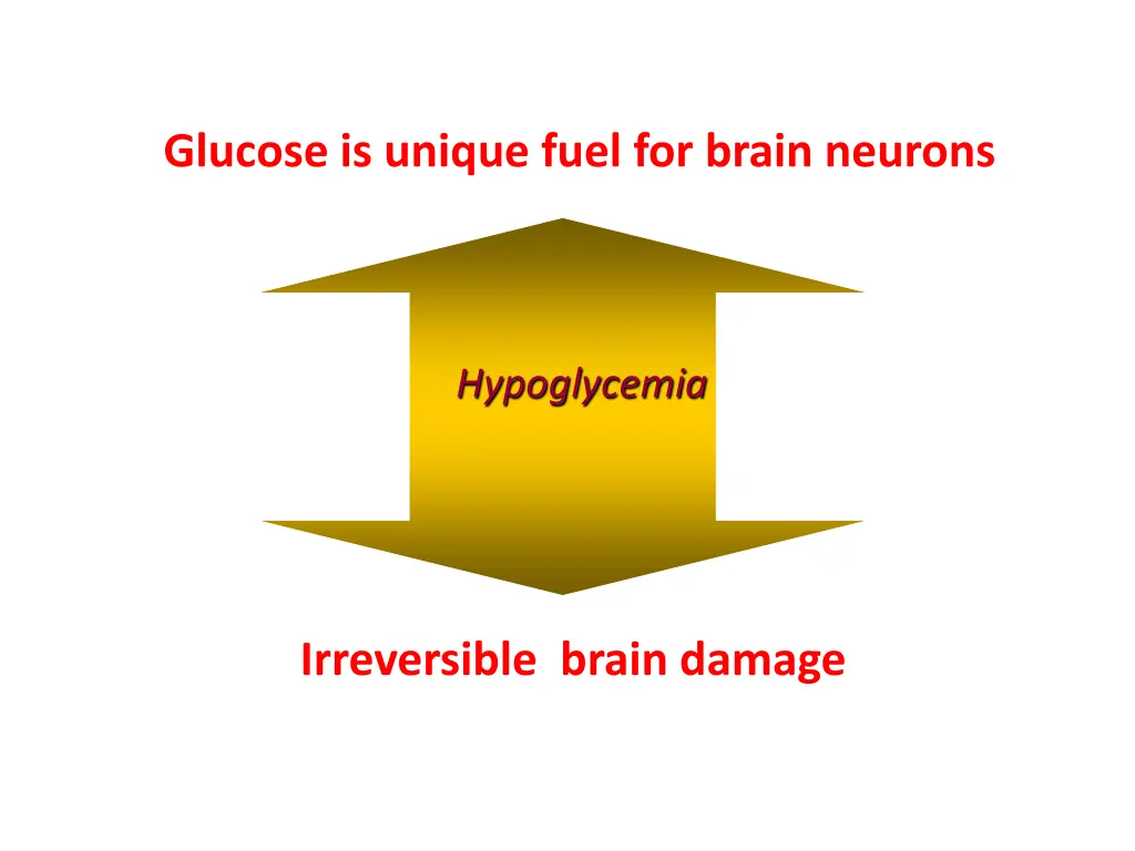 glucose is unique fuel for brain neurons