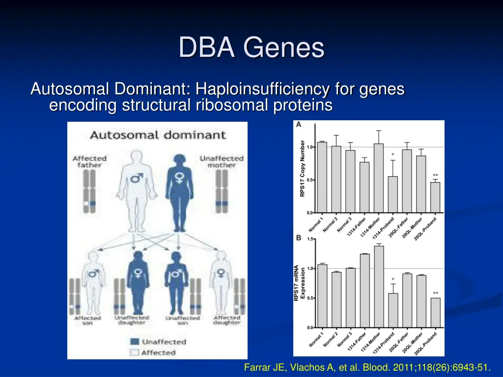 dba genes 1