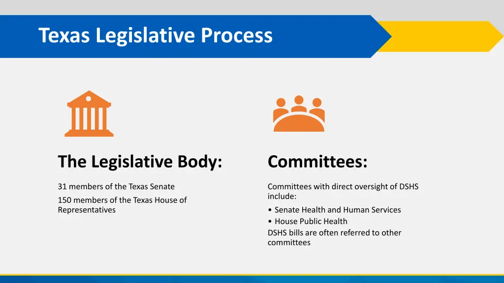texas legislative process