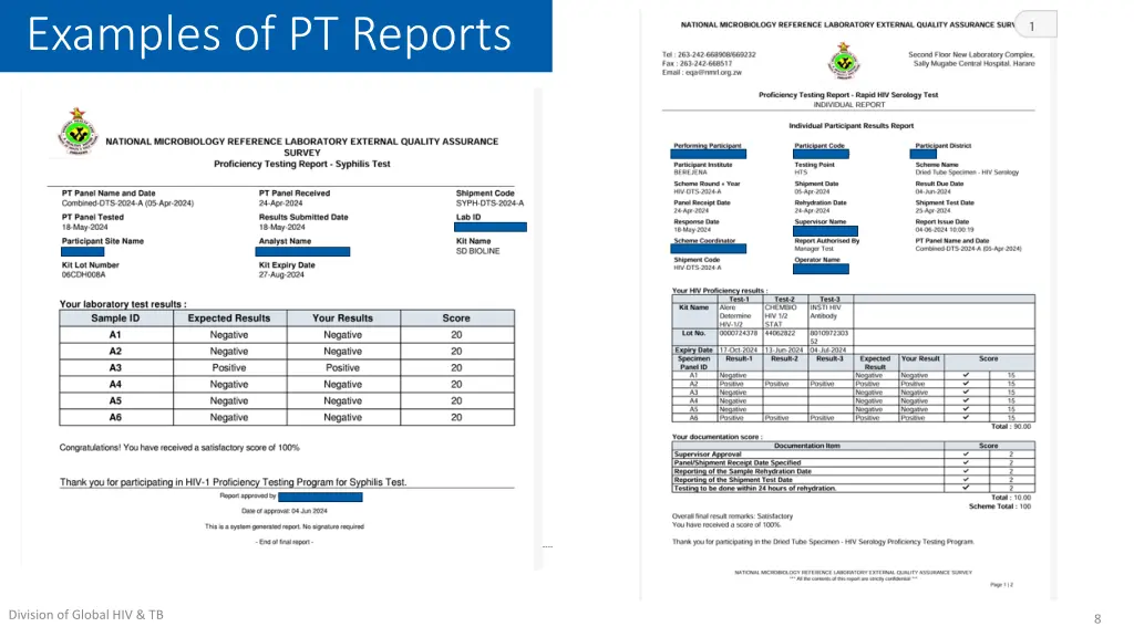 examples of pt reports
